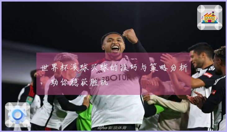 世界杯滚球买球的技巧与策略分析，助你稳获胜机