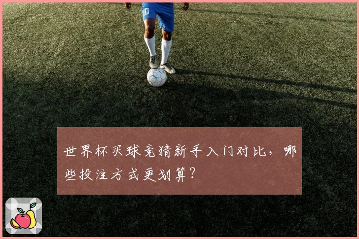 世界杯买球竞猜新手入门对比，哪些投注方式更划算？