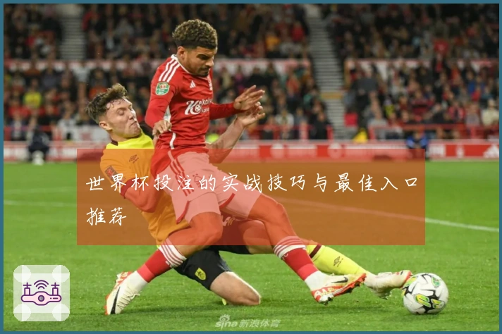 世界杯投注的实战技巧与最佳入口推荐