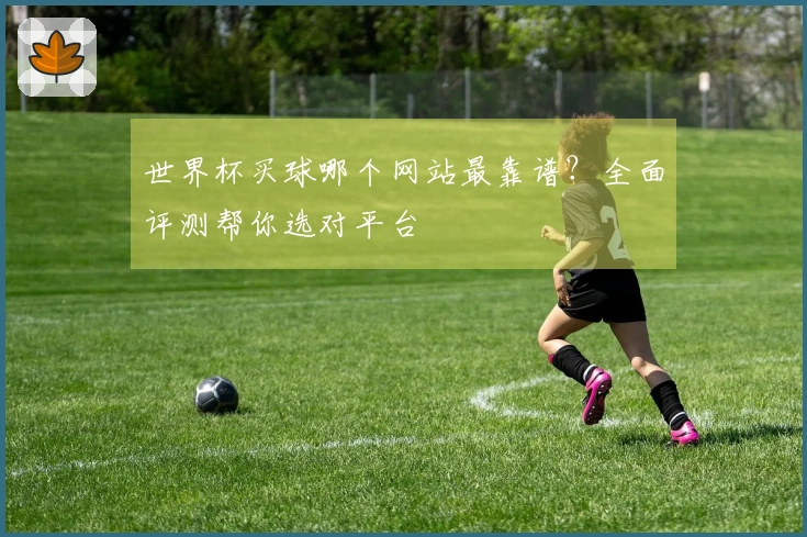 世界杯买球哪个网站最靠谱？全面评测帮你选对平台