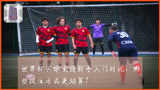 世界杯买球竞猜新手入门对比，哪些投注方式更划算？
