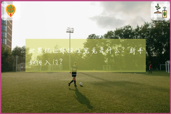 世界杯让球投注究竟是什么？新手如何入门？