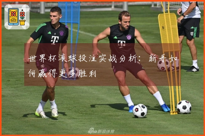 世界杯滚球投注实战分析：新手如何赢得更多胜利